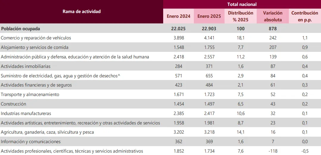 Actividad economica